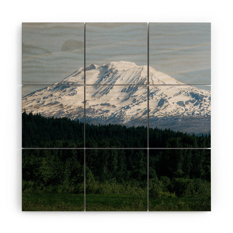 Hannah Kemp Mount Adams Wood Wall Mural