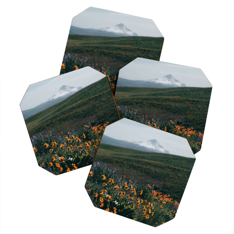 Hannah Kemp Mount Hood Blooms II Coaster Set