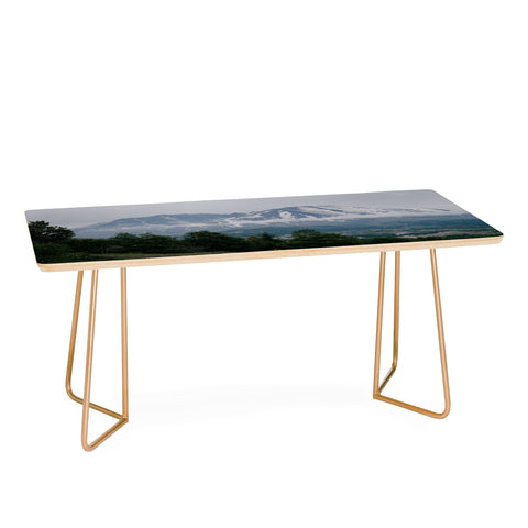 Hannah Kemp Mount Saint Helens Coffee Table
