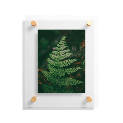 Hannah Kemp One Fern Floating Acrylic Print