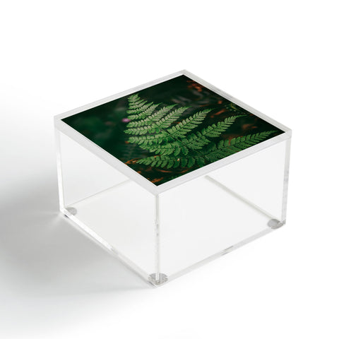 Hannah Kemp One Fern Acrylic Box