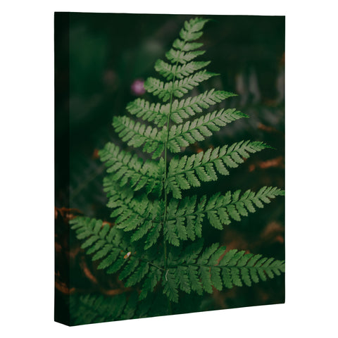 Hannah Kemp One Fern Art Canvas