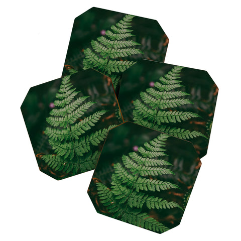 Hannah Kemp One Fern Coaster Set