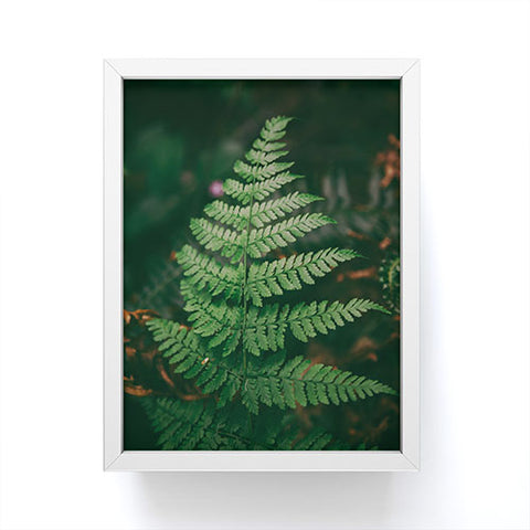 Hannah Kemp One Fern Framed Mini Art Print