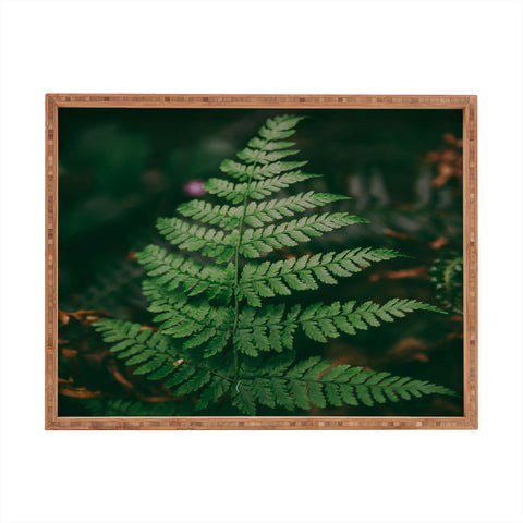 Hannah Kemp One Fern Rectangular Tray