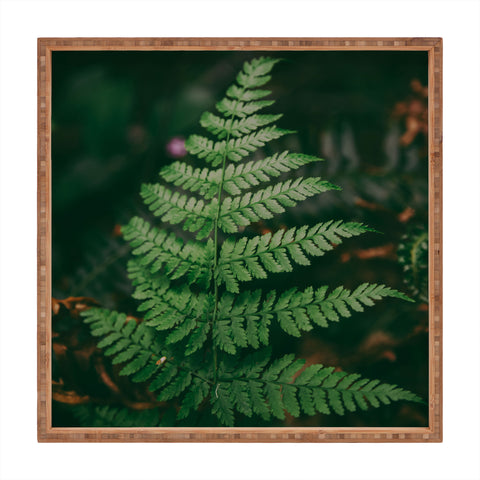 Hannah Kemp One Fern Square Tray