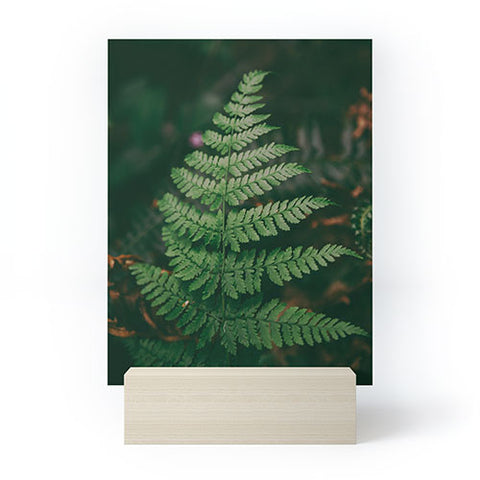 Hannah Kemp One Fern Mini Art Print