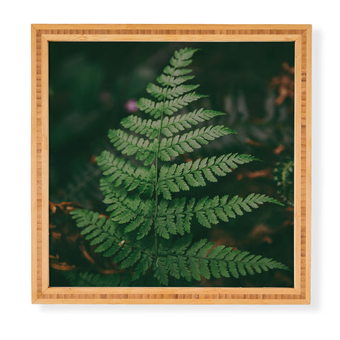 Hannah Kemp One Fern Framed Wall Art