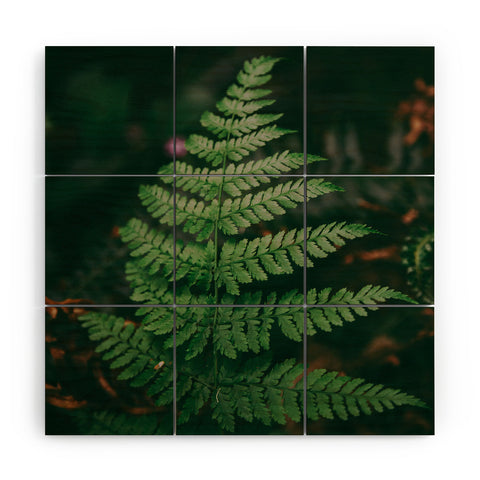 Hannah Kemp One Fern Wood Wall Mural