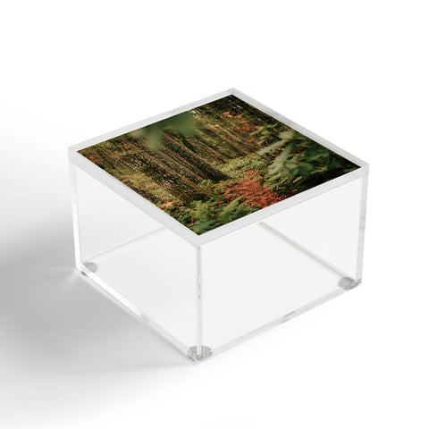 Hannah Kemp Oregon Forest Trail Acrylic Box