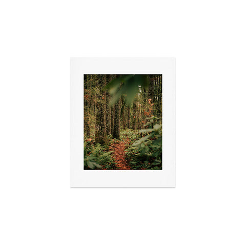 Hannah Kemp Oregon Forest Trail Art Print