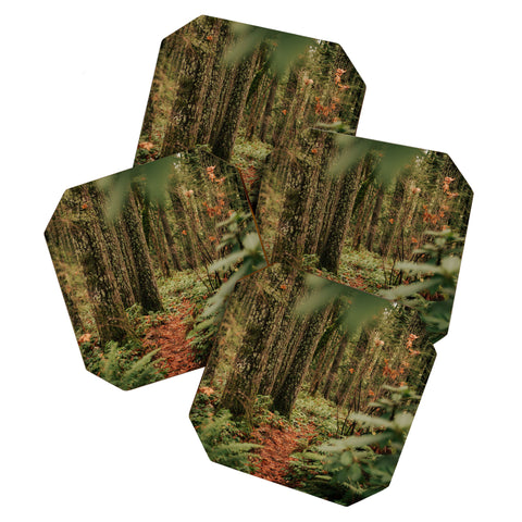 Hannah Kemp Oregon Forest Trail Coaster Set