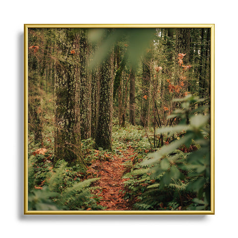 Hannah Kemp Oregon Forest Trail Square Metal Framed Art Print