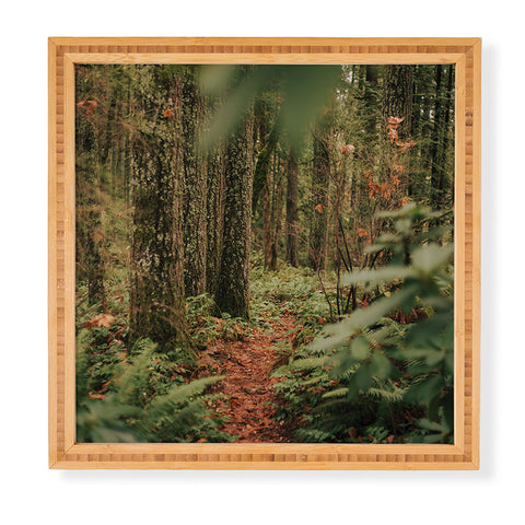 Hannah Kemp Oregon Forest Trail Framed Wall Art