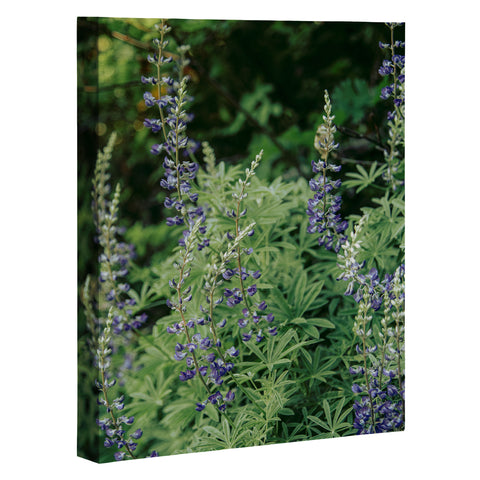 Hannah Kemp Oregon Lupine Art Canvas