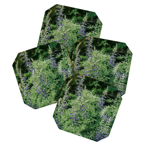 Hannah Kemp Oregon Lupine Coaster Set