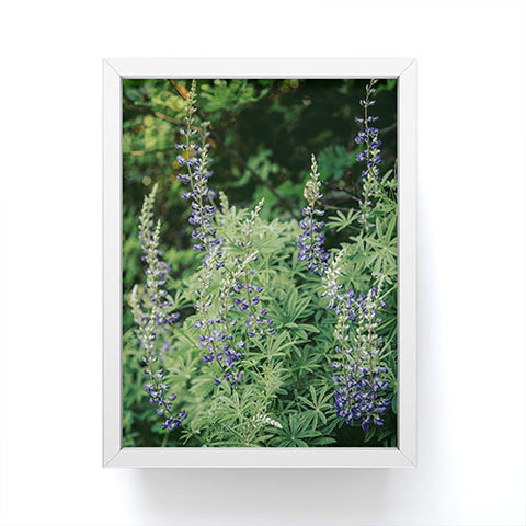 Hannah Kemp Oregon Lupine Framed Mini Art Print