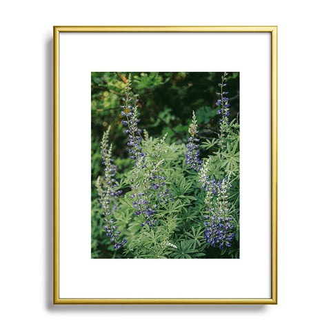 Hannah Kemp Oregon Lupine Metal Framed Art Print