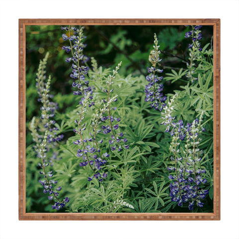 Hannah Kemp Oregon Lupine Square Tray