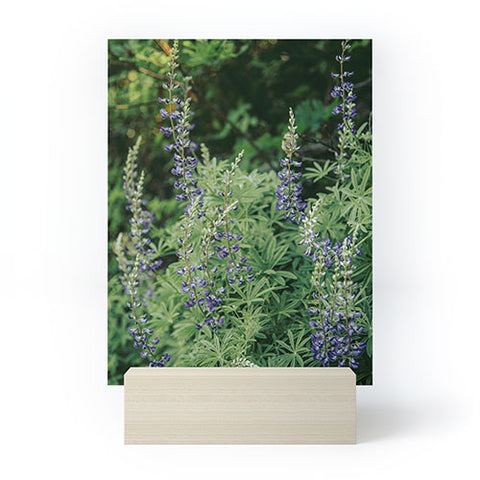 Hannah Kemp Oregon Lupine Mini Art Print
