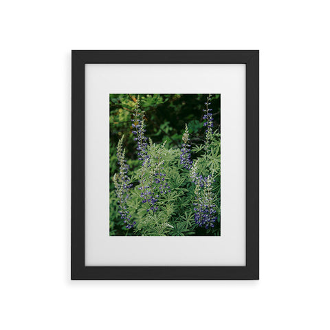 Hannah Kemp Oregon Lupine Framed Art Print