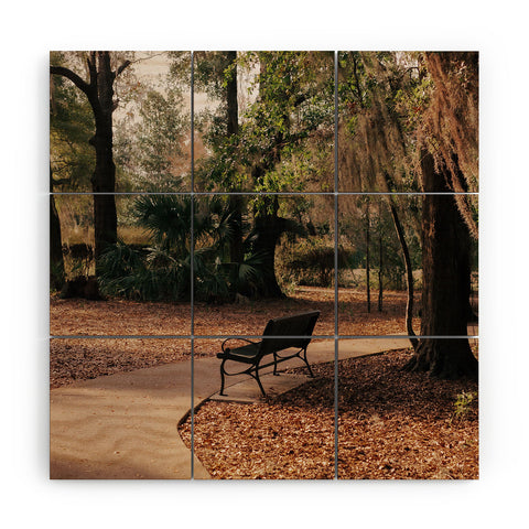 Hannah Kemp Park Path Wood Wall Mural