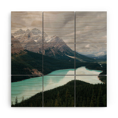 Hannah Kemp Peyto Lake Banff Wood Wall Mural