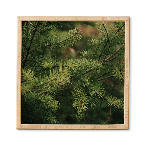 Hannah Kemp Pine Details Framed Wall Art