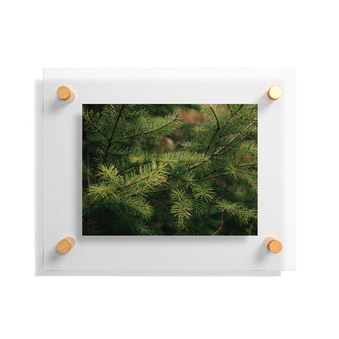 Hannah Kemp Pine Details Floating Acrylic Print