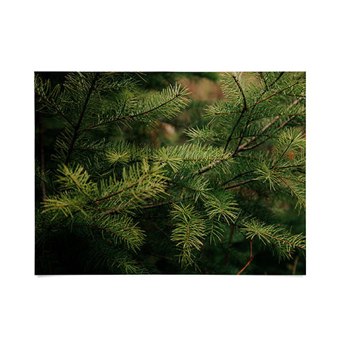 Hannah Kemp Pine Details Poster