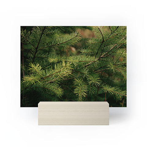 Hannah Kemp Pine Details Mini Art Print