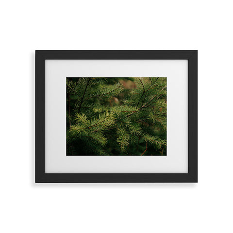 Hannah Kemp Pine Details Framed Art Print