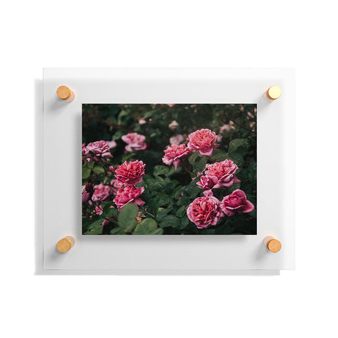 Hannah Kemp Pink Rose Garden Floating Acrylic Print