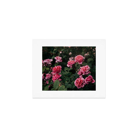 Hannah Kemp Pink Rose Garden Art Print