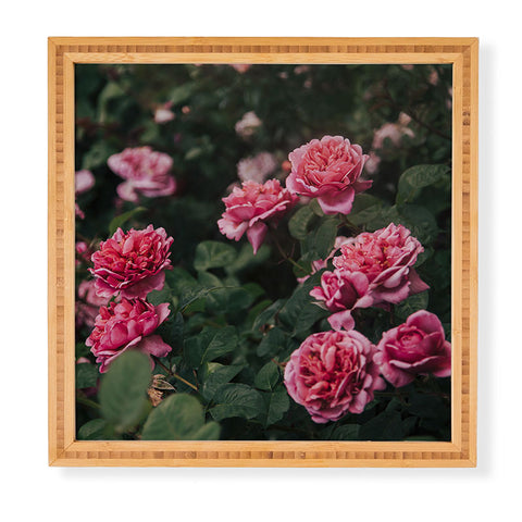Hannah Kemp Pink Rose Garden Framed Wall Art