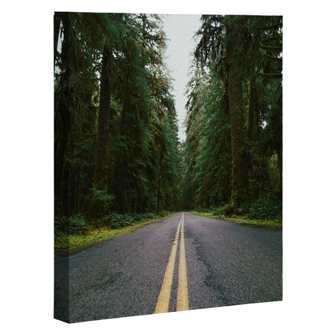 Hannah Kemp PNW Rainforest Drive Art Canvas