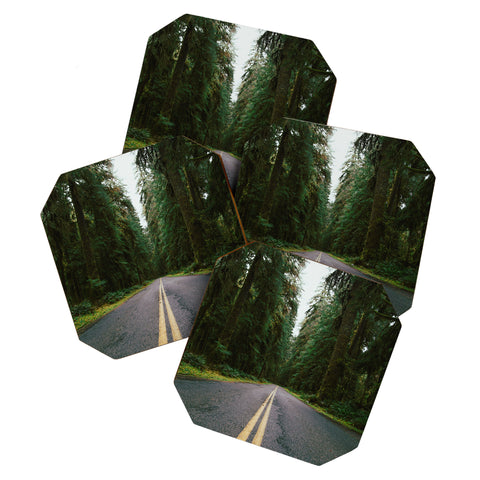 Hannah Kemp PNW Rainforest Drive Coaster Set