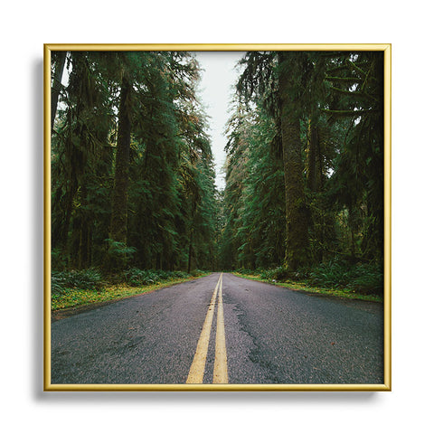 Hannah Kemp PNW Rainforest Drive Square Metal Framed Art Print