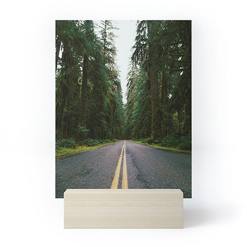 Hannah Kemp PNW Rainforest Drive Mini Art Print