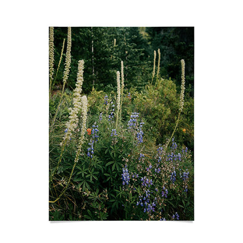 Hannah Kemp PNW Wildflowers Poster