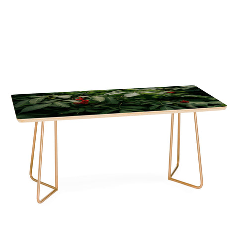 Hannah Kemp Red Elderberry Coffee Table