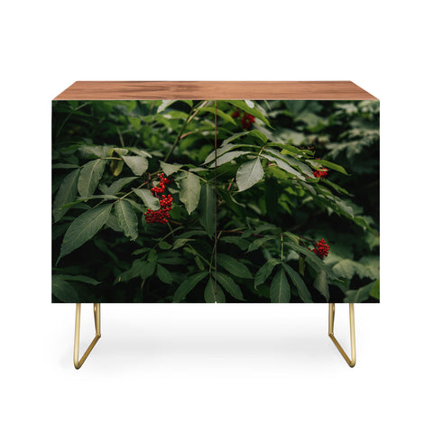 Hannah Kemp Red Elderberry Credenza