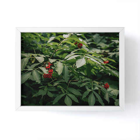 Hannah Kemp Red Elderberry Framed Mini Art Print