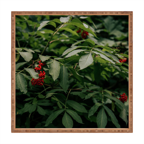 Hannah Kemp Red Elderberry Square Tray