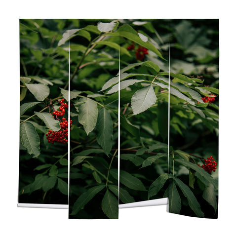 Hannah Kemp Red Elderberry Wall Mural