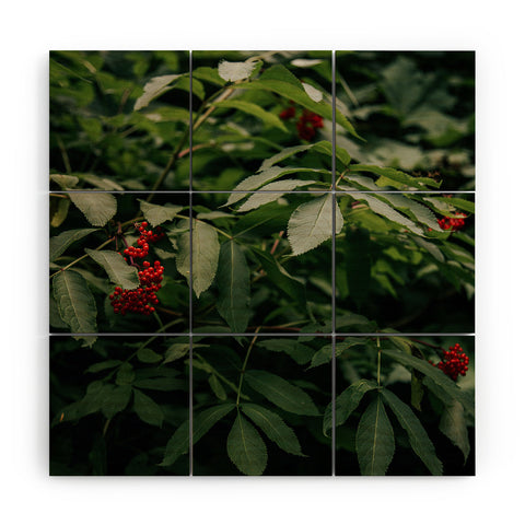 Hannah Kemp Red Elderberry Wood Wall Mural