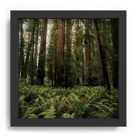 Hannah Kemp Redwood Forest Recessed Framing Square