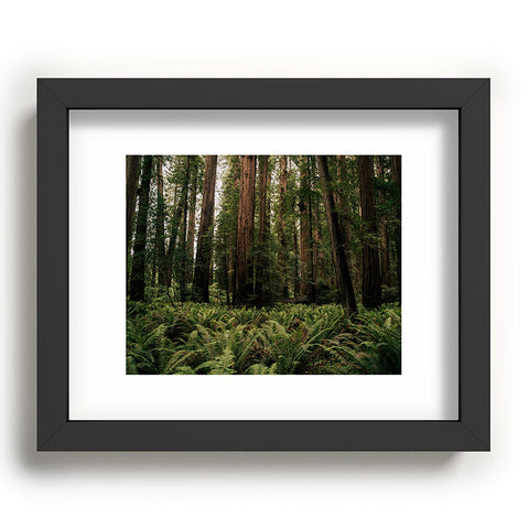 Hannah Kemp Redwood Forest Recessed Framing Rectangle
