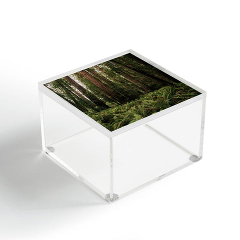 Hannah Kemp Redwood Forest Acrylic Box