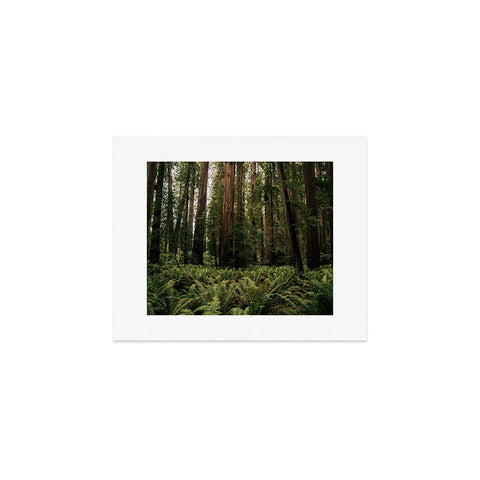 Hannah Kemp Redwood Forest Art Print